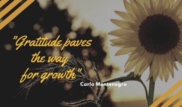 Gratitude Paves the Way for Growth